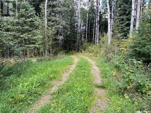 Secluded 80 Land, Paddockwood Rm No. 520, SK 