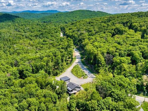 Overall view - 135 Allée Du Wigwam, Mont-Tremblant, QC - Outdoor With View