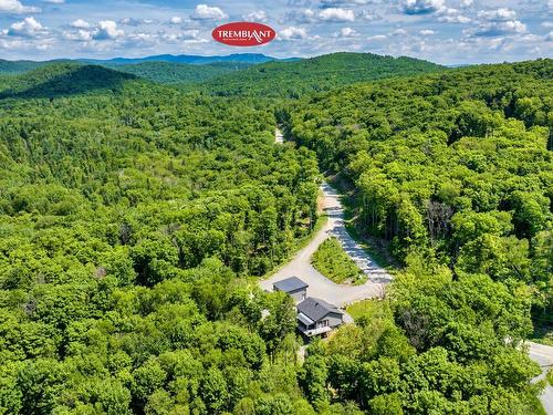 Overall view - 135 Allée Du Wigwam, Mont-Tremblant, QC - Outdoor With View