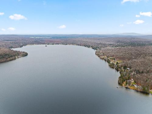 Vue d'ensemble - 786 Ch. Du Tour-Du-Lac-David N., Chute-Saint-Philippe, QC - Outdoor With Body Of Water With View