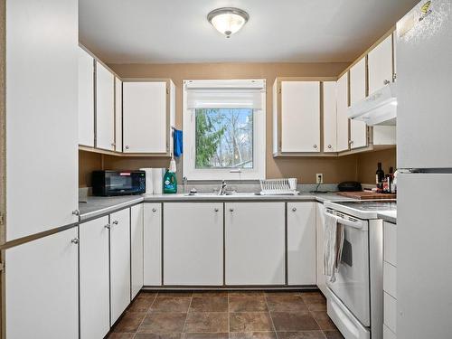 Cuisine - 786 Ch. Du Tour-Du-Lac-David N., Chute-Saint-Philippe, QC - Indoor Photo Showing Kitchen With Double Sink