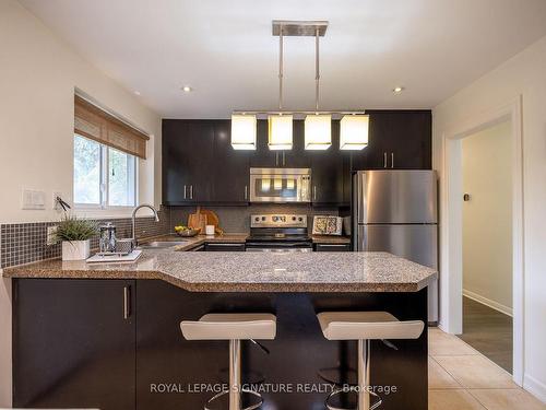 20 Moccasin Tr, Toronto, ON - Indoor Photo Showing Kitchen With Upgraded Kitchen