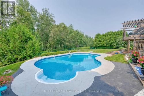 113 Ski Hill Road, Kawartha Lakes, ON - Outdoor With In Ground Pool With Backyard