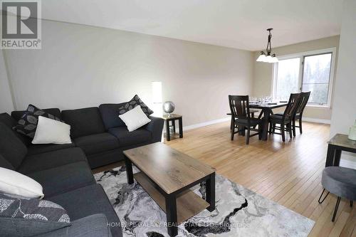 113 Ski Hill Road, Kawartha Lakes, ON - Indoor Photo Showing Living Room