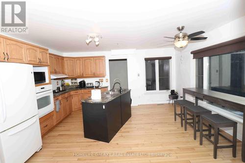 113 Ski Hill Road, Kawartha Lakes, ON - Indoor Photo Showing Kitchen