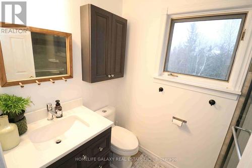 113 Ski Hill Road, Kawartha Lakes, ON - Indoor Photo Showing Bathroom