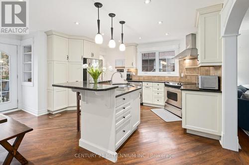 362 Metcalfe Street, Guelph, ON - Indoor Photo Showing Kitchen With Upgraded Kitchen