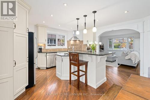 362 Metcalfe Street, Guelph, ON - Indoor Photo Showing Kitchen With Upgraded Kitchen