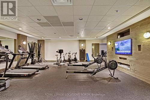 110 Landry Lane, Blue Mountains, ON - Indoor Photo Showing Gym Room