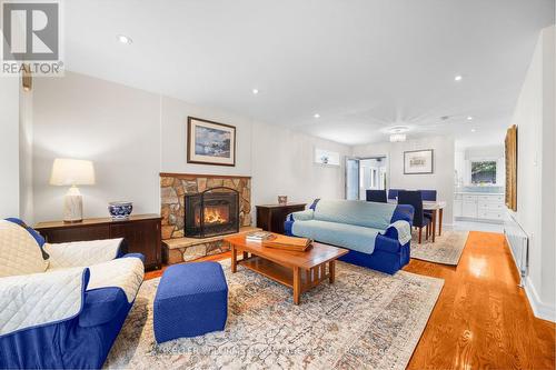 20 Superior Avenue, Toronto, ON - Indoor Photo Showing Living Room With Fireplace