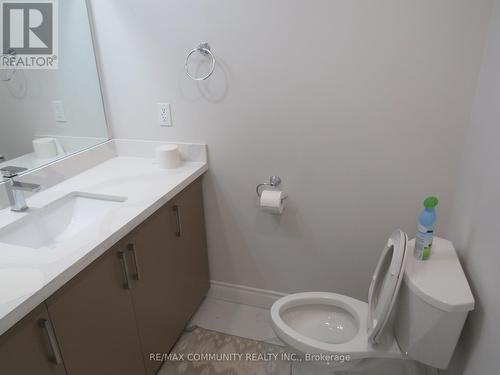 Bsmt - 135 Auckland Drive, Whitby, ON - Indoor Photo Showing Bathroom