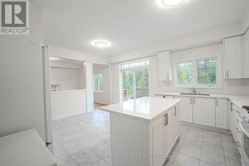 117 Hawkins Street, Georgina, ON - Indoor Photo Showing Kitchen With Double Sink