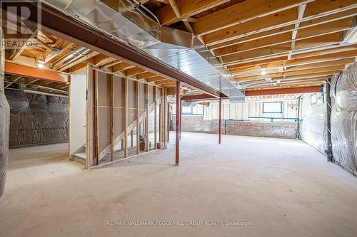 117 Hawkins Street, Georgina, ON - Indoor Photo Showing Basement