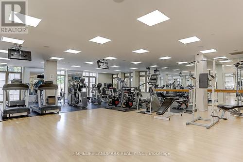 216 - 80 Harrison Garden Boulevard, Toronto, ON - Indoor Photo Showing Gym Room