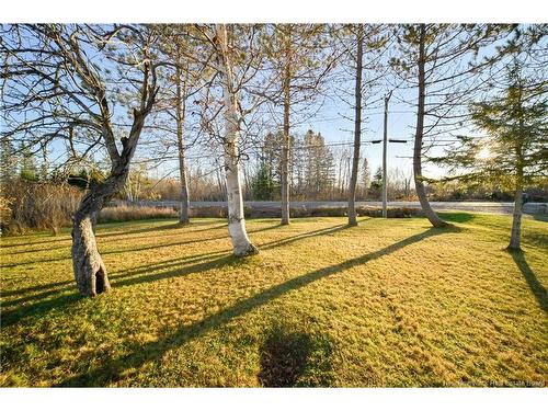 1732 Route 107 Rte, Williamsburg, NB 