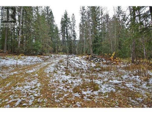 Lot 2 Bedford Road, Nelson, BC 