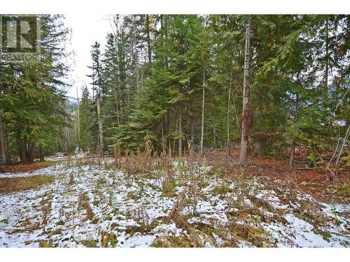 Lot 2 Bedford Road, Nelson, BC 