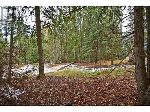 Lot 2 Bedford Road, Nelson, BC 