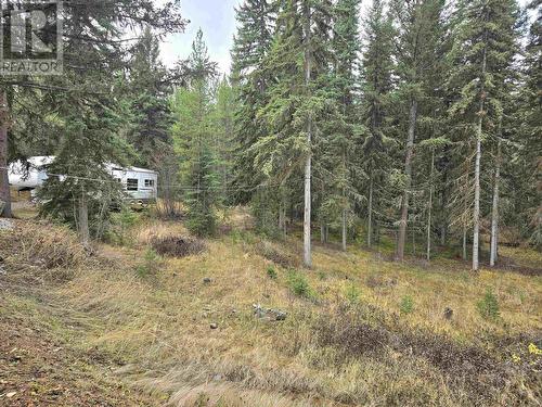 4353 N Clear Road, Williams Lake, BC - Outdoor With View