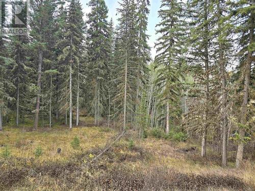 4353 N Clear Road, Williams Lake, BC - Outdoor With View