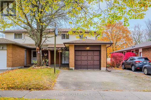 81 Dalegrove Drive, Kitchener, ON - Outdoor