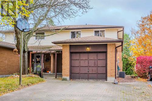 81 Dalegrove Drive, Kitchener, ON - Outdoor