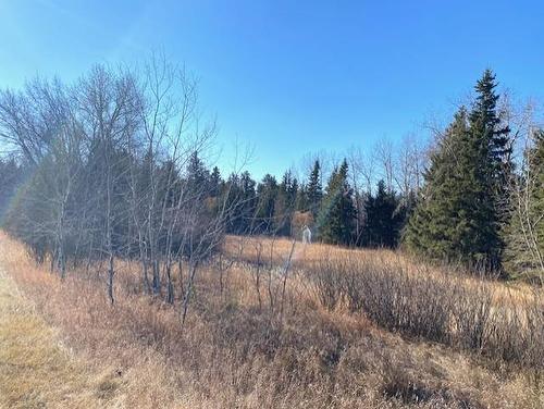 104005 110W Road Road, Onanole, MB 