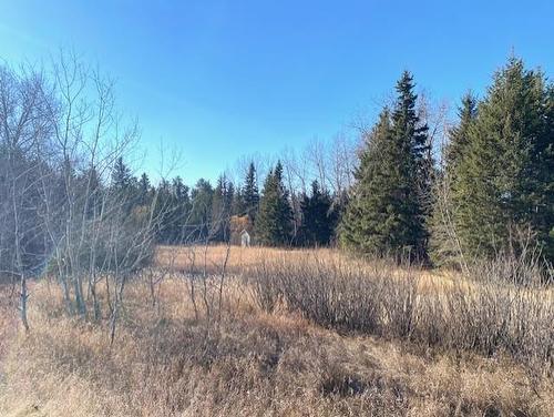 104005 110W Road Road, Onanole, MB 