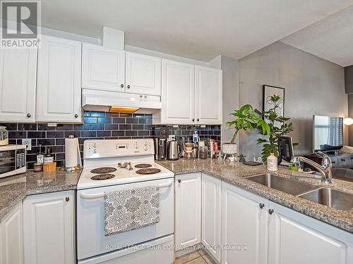 207 - 4198 Dundas Street W, Toronto, ON - Indoor Photo Showing Kitchen With Double Sink