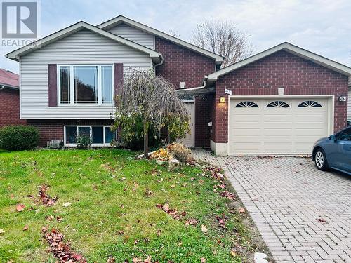 Upper - 43 Mapleton Avenue, Barrie, ON - Outdoor