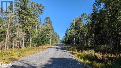 View of road - 11 Crimson Lane, Port Sydney, ON 