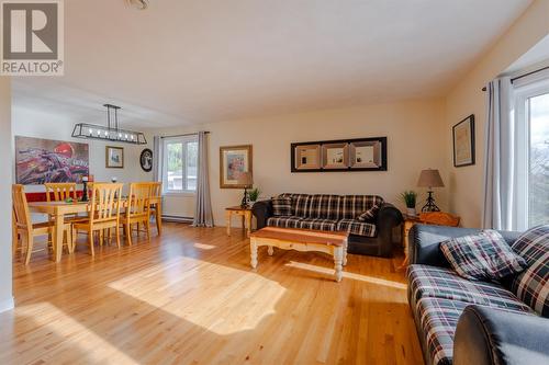 540 Indian Meal Line, Torbay, NL - Indoor Photo Showing Living Room