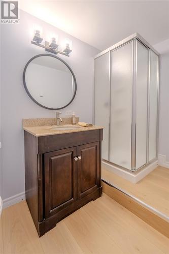 540 Indian Meal Line, Torbay, NL - Indoor Photo Showing Bathroom