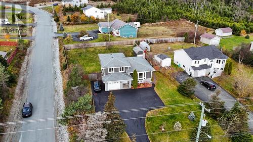 540 Indian Meal Line, Torbay, NL - Outdoor With View