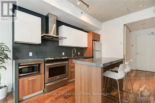 412 - 360 Mcleod Street, Ottawa, ON - Indoor Photo Showing Kitchen With Upgraded Kitchen