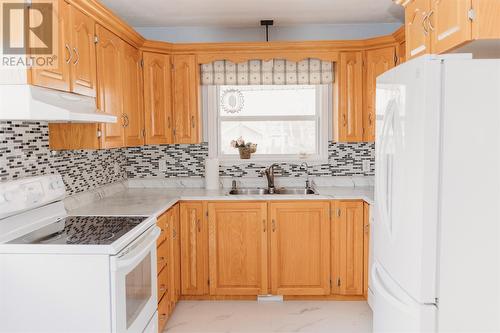 55 Byrd Avenue, Gander, NL - Indoor Photo Showing Kitchen With Double Sink