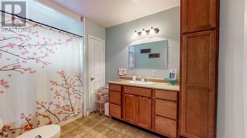 7 Fitzgibbon Street, St. John'S, NL - Indoor Photo Showing Bathroom