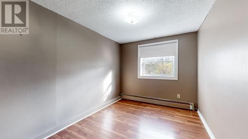 7 Fitzgibbon Street, St. John'S, NL - Indoor Photo Showing Other Room