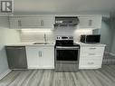 Bsmt - 14 Willowhurst Crescent, Toronto, ON  - Indoor Photo Showing Kitchen With Double Sink 