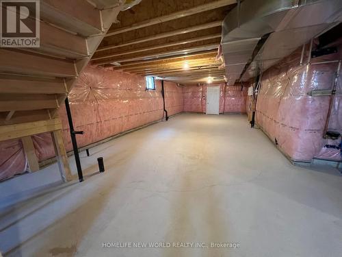 42 Faimira Avenue, Georgina, ON - Indoor Photo Showing Basement