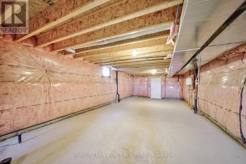 42 Faimira Avenue, Georgina, ON - Indoor Photo Showing Basement