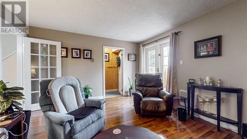 17 Montague Street, St. John'S, NL - Indoor Photo Showing Living Room