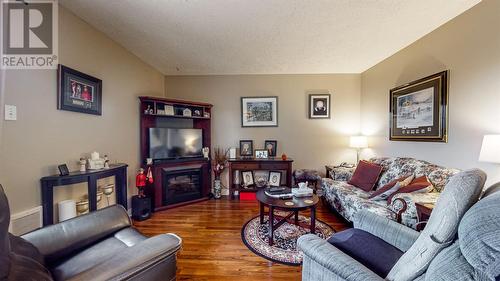 17 Montague Street, St. John'S, NL - Indoor Photo Showing Living Room