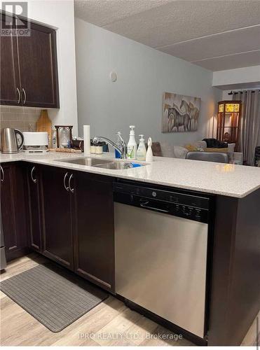 217 - 40 Via Rosedale Way, Brampton, ON - Indoor Photo Showing Kitchen With Double Sink