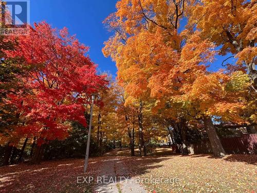 4 Highhill Drive, Toronto, ON - Outdoor With View