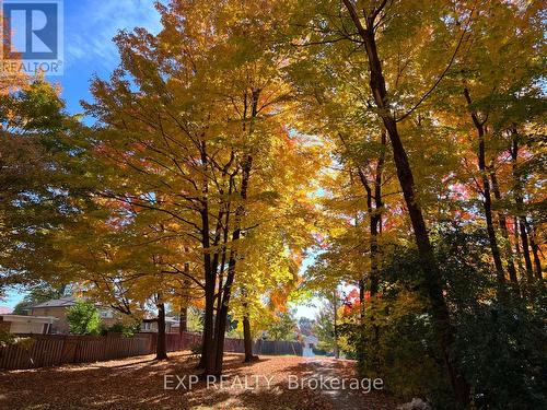 4 Highhill Drive, Toronto, ON - Outdoor