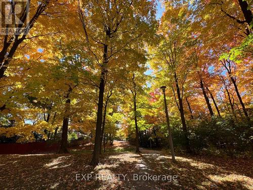 4 Highhill Drive, Toronto, ON - Outdoor With View