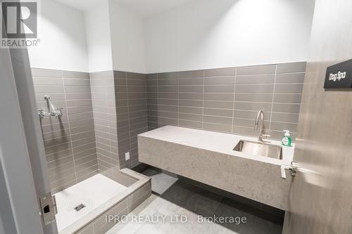 209 - 42 Mill Street, Halton Hills, ON - Indoor Photo Showing Bathroom