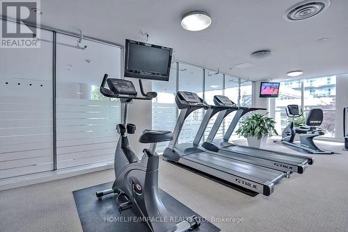 Ph2 - 225 Webb Drive, Mississauga, ON - Indoor Photo Showing Gym Room