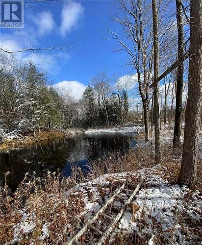 1091 Crystal Lake Road, Galway-Cavendish And Harvey, ON 